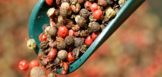 Pfeffer Senf 270ml Thüringen steingemahlen rustikaler Tontopf