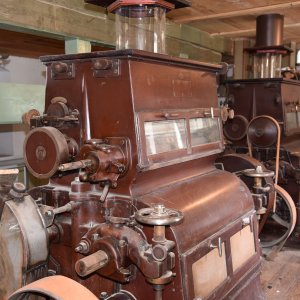 Bockbier-Senf halbgrob 100 ml HammerMühle Bautzen