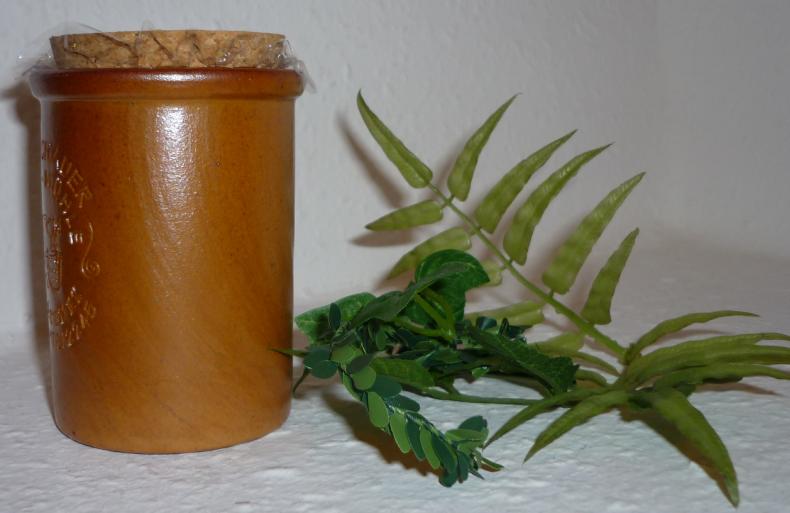 WildKräuter Senf mit Bärlauch 100ml - Monschau vegan im Tontopf mit Naturkorken