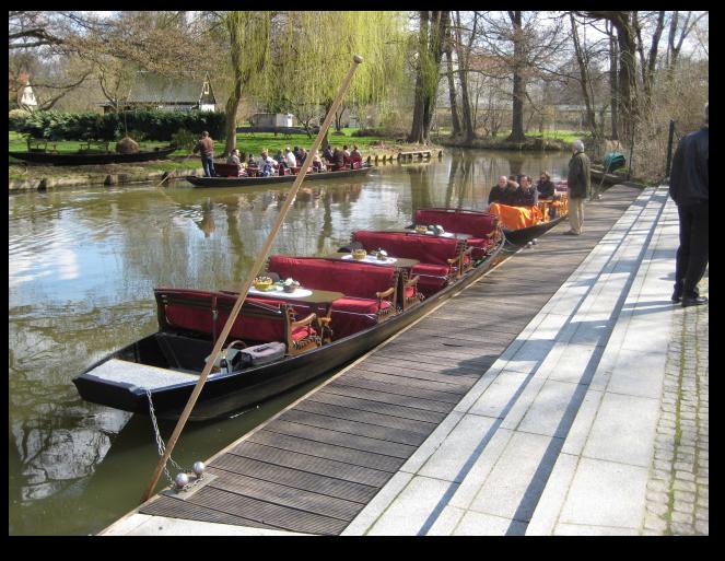 PUR  Meerrettich 200g Spreewald  - Kren -Ksen