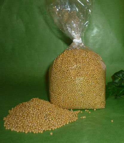 Senfsaat gelbe Bio Senfkörner 150g Thüringen