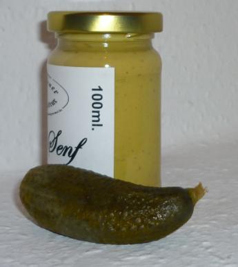 Gewürzgurken Senf 100ml fein mild leicht sauersüß