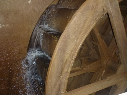 Feigen Senf 270ml Thüringen steingemahlen rustikaler Tontopf