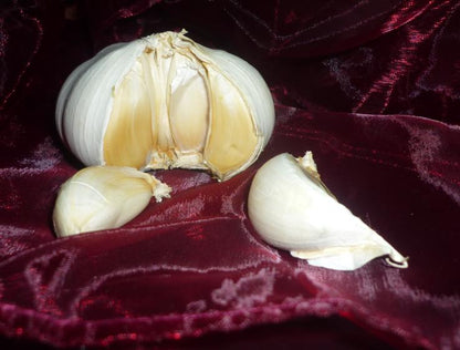 Knoblauch Senf 190ml würzig geruchsintesiv