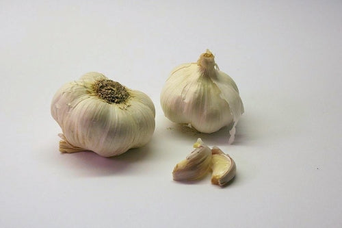 Knoblauch  Meerrettich Spreewald 100g - Kren -Ksen