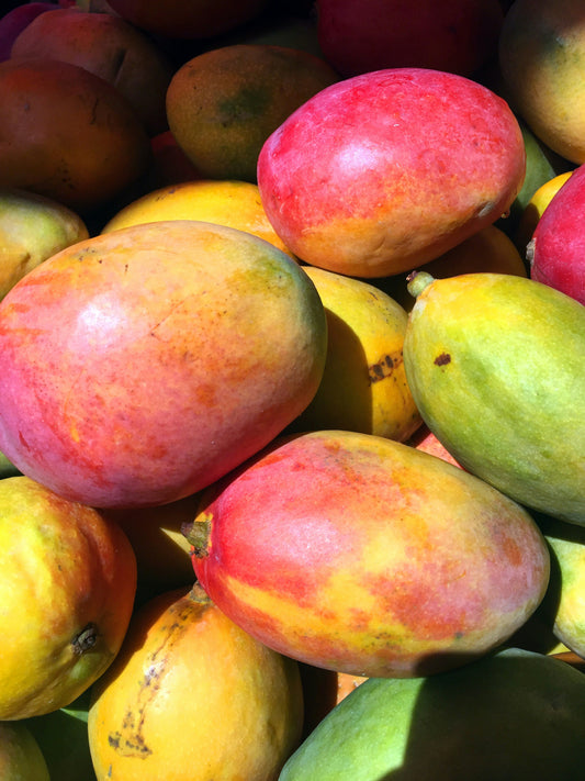 Mango Senf süß - halbgrob 100 ml  Bautzener Hammermühle