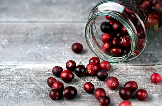 Preiselbeer Meerrettich Spreewald 100g