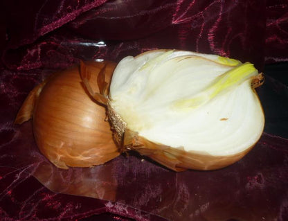 Zwiebel Senf 270ml im Steinzeugtopf -Thüringen