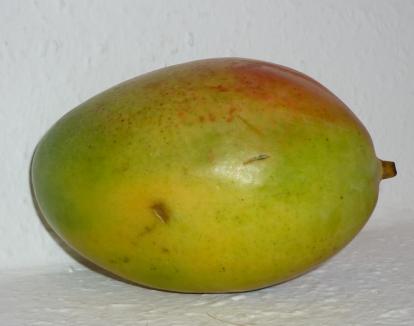 Mango Mustard Senf  mit einer Prise Curry  140ml exotisch