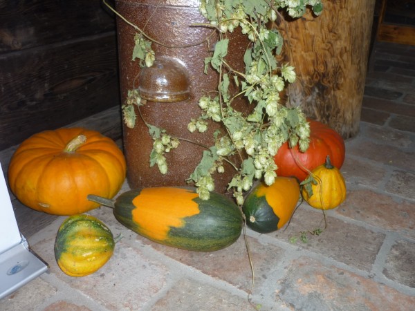 Kürbiskern Senf leicht scharf 180ml