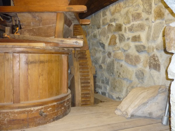 HammerMühle Bautzen Honig Senf süß - halbgrob 100ml