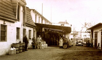 Öl - LeinÖl Lausitzer kaltgepresst 250 ml - Sachsen -