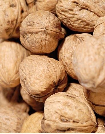 Feigen Walnuss Senf 180ml