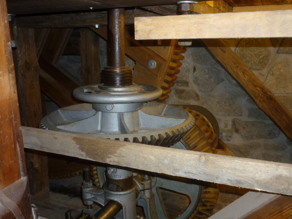 HammerMühle Bautzen Senf DREIER - halbgrob 3x25 ml