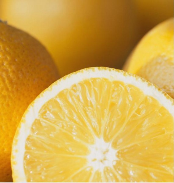 Ingwer Zitronen Bio Senf 200ml -vegan -