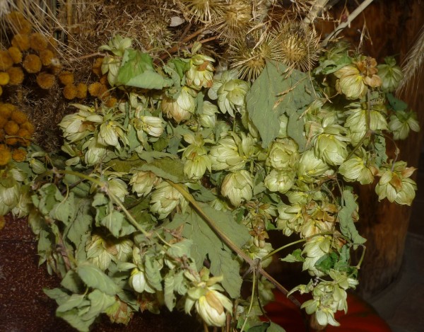 Berliner Bier Senf hell mit Bier / Pils 105ml Bierliner