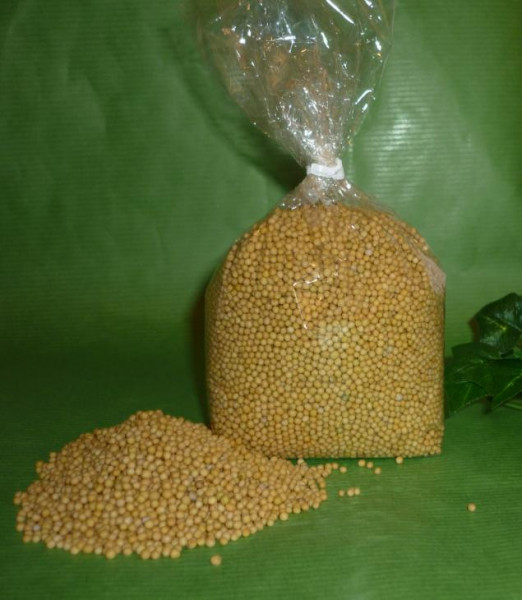 Senfsaat braune / gelbe Bio Senfkörner 450g Thüringen