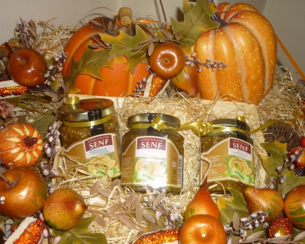 Kürbis Senf mild fruchtig 190ml