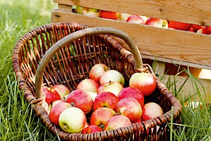 Apfel Meerrettich Spreewald 100g