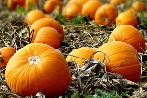 Kürbiskern Senf leicht scharf 180ml