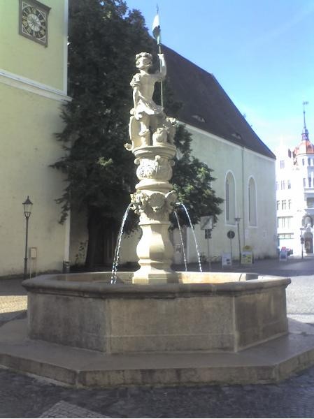 Bio Senf mit grünem Urwaldpfeffer 250ml Porzellantopf