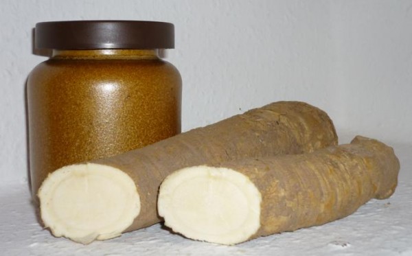 Meerrettich Spreewald Senf 115ml