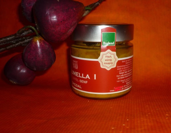 Feigen Chili Bio Senf 200ml -Spezial - vegan leicht scharf