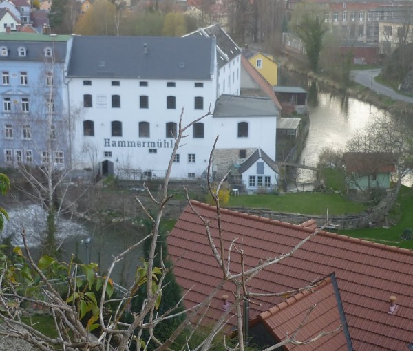 HammerMühle Bautzen Senf mittelscharf - halbgrob 100 ml