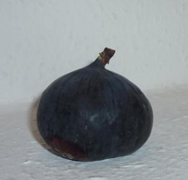 Feigen Mustard 140ml - Senf - süß