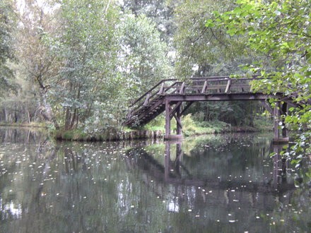 Delikatess Meerrettich Spreewald 100g