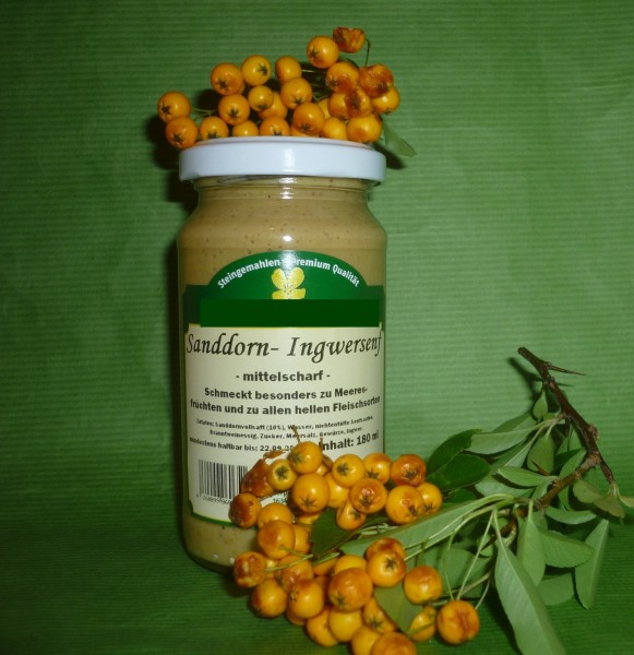 Apfel Senf mit Ingwer 190ml vegan