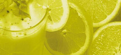 Zitronen Senf 190ml vegan