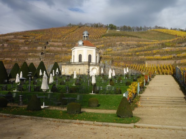 Riesling Senf fein-fruchtig 180ml