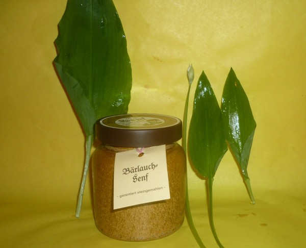 Kräuter Senf 270ml Thüringen rustikaler Tontopf
