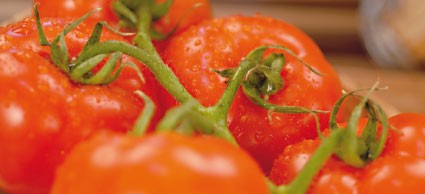 Tomaten - Oliven Senf 270ml Thüringen steingemahlen rustikaler Tontopf