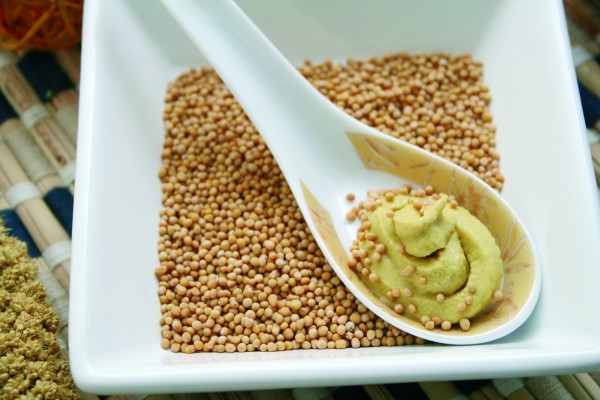 Senfsaat braune / gelbe Bio Senfkörner 1050g Thüringen